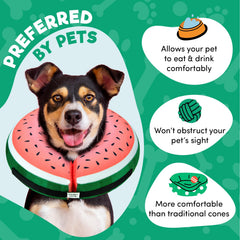 BENCMATE durable recovery collar resists scratching and protects furniture.