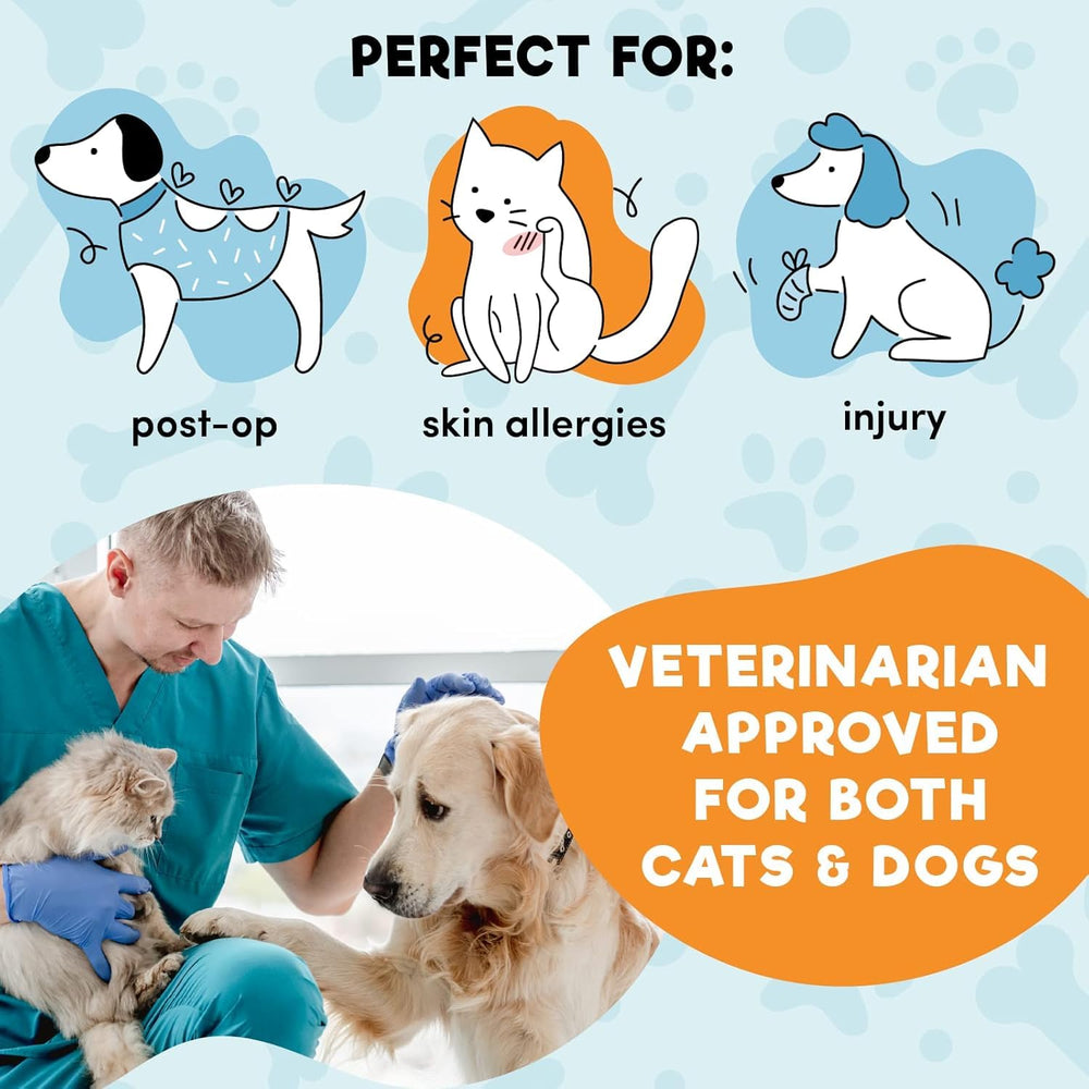 BENCMATE neck protection on a resting dog showing gentle care