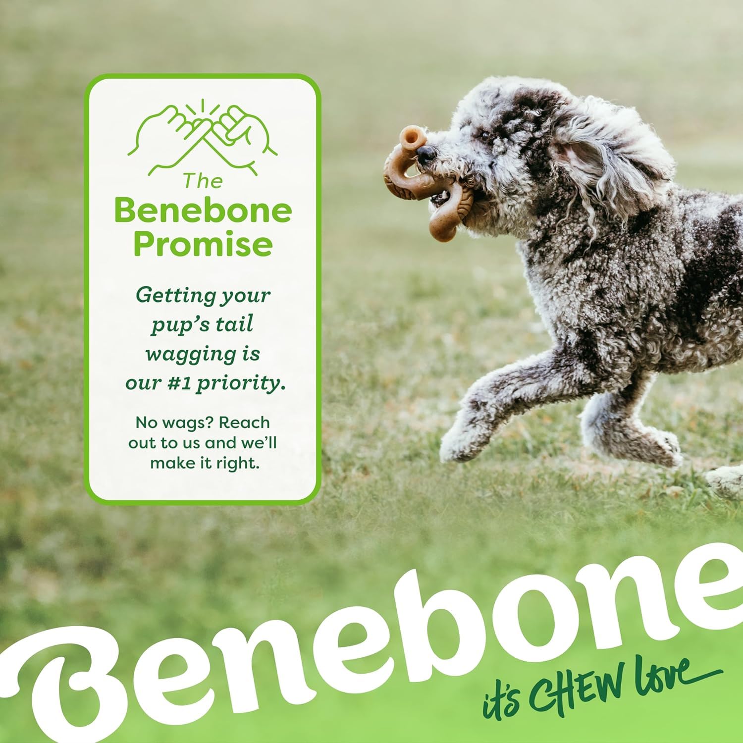 Benebone 7-Pack Medium, travel-ready distraction during alone time or trips.