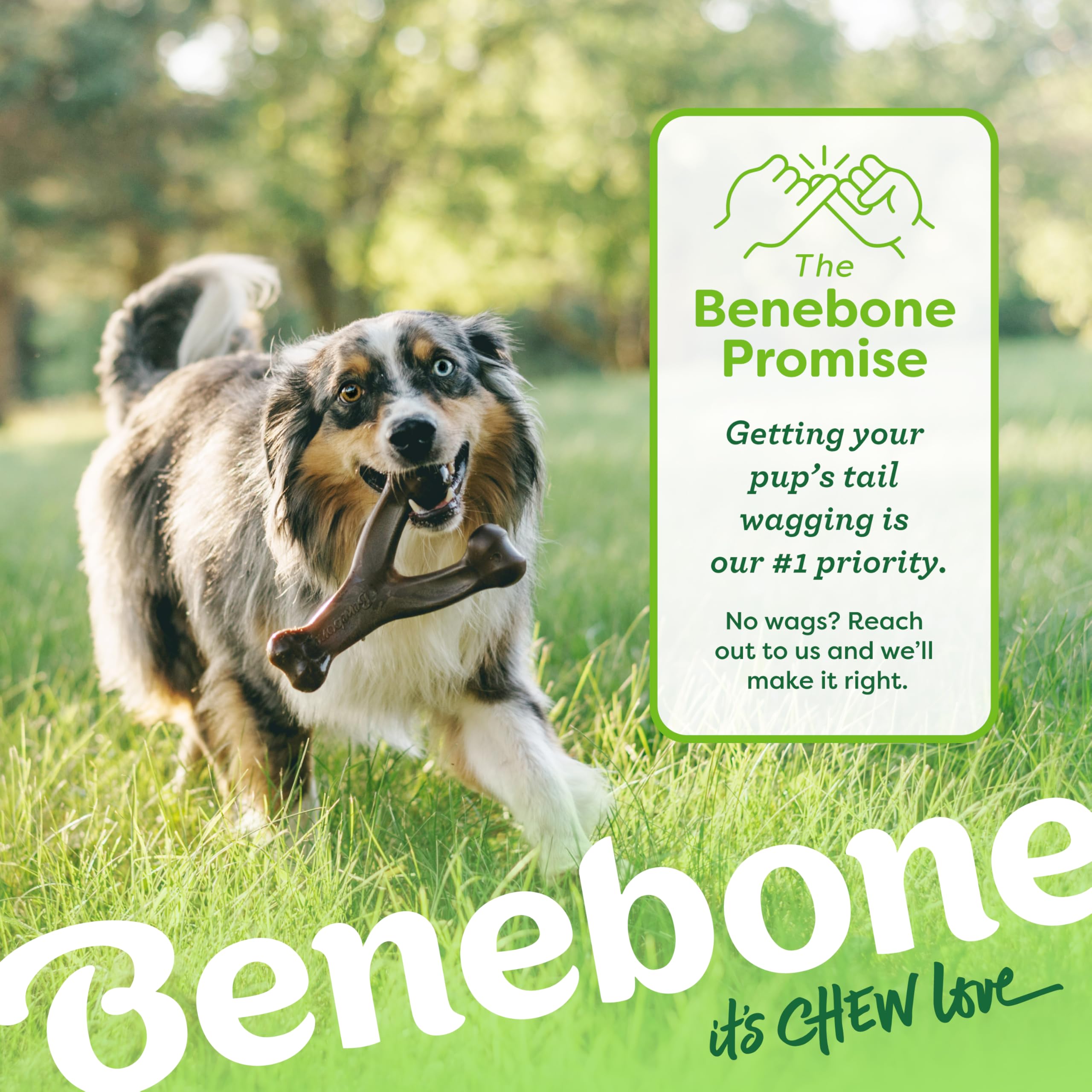 Durable nylon Benebone chew designed for aggressive chewers and tough sessions.