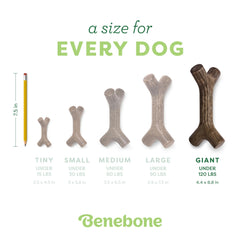 Benebone Bacon Stick USA-made, supporting domestic production and quality.