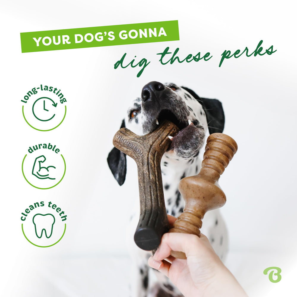 Benebone dual-pack maplestick zaggler for interactive chews.