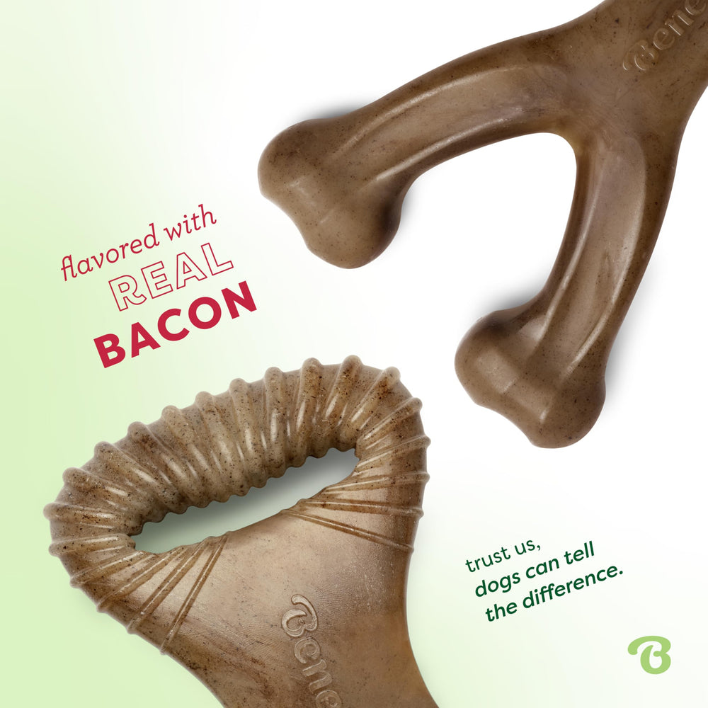 Benebone Fishbone chew with real bacon flavor and grip