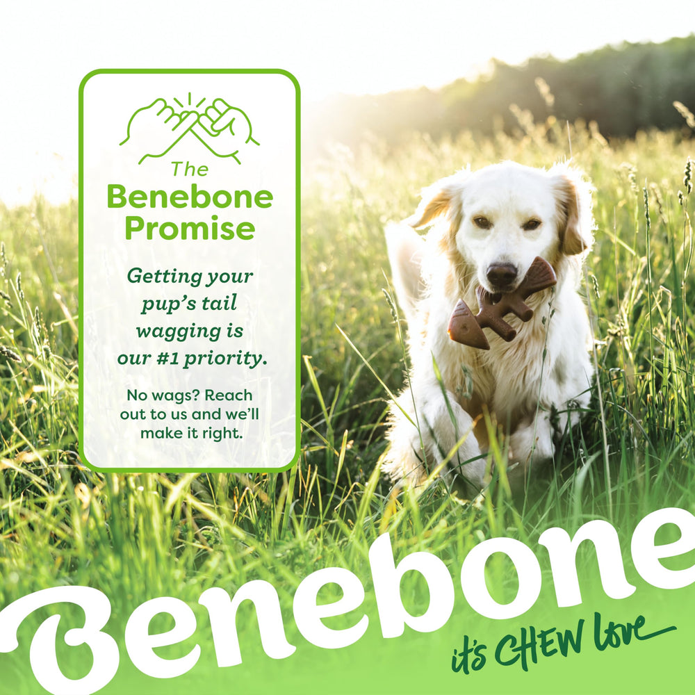 Happiness guaranteed support from Benebone if you need assistance.