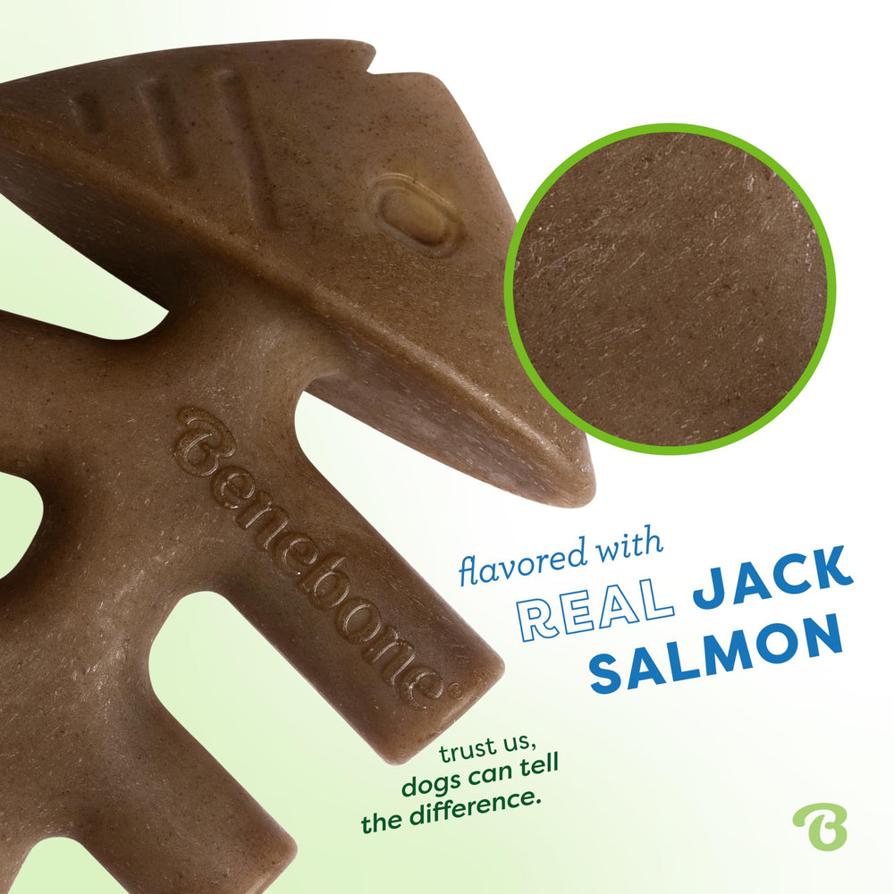 Benebone Fishbone with real Jack Salmon flavor, enticing scent for powerful chewers.