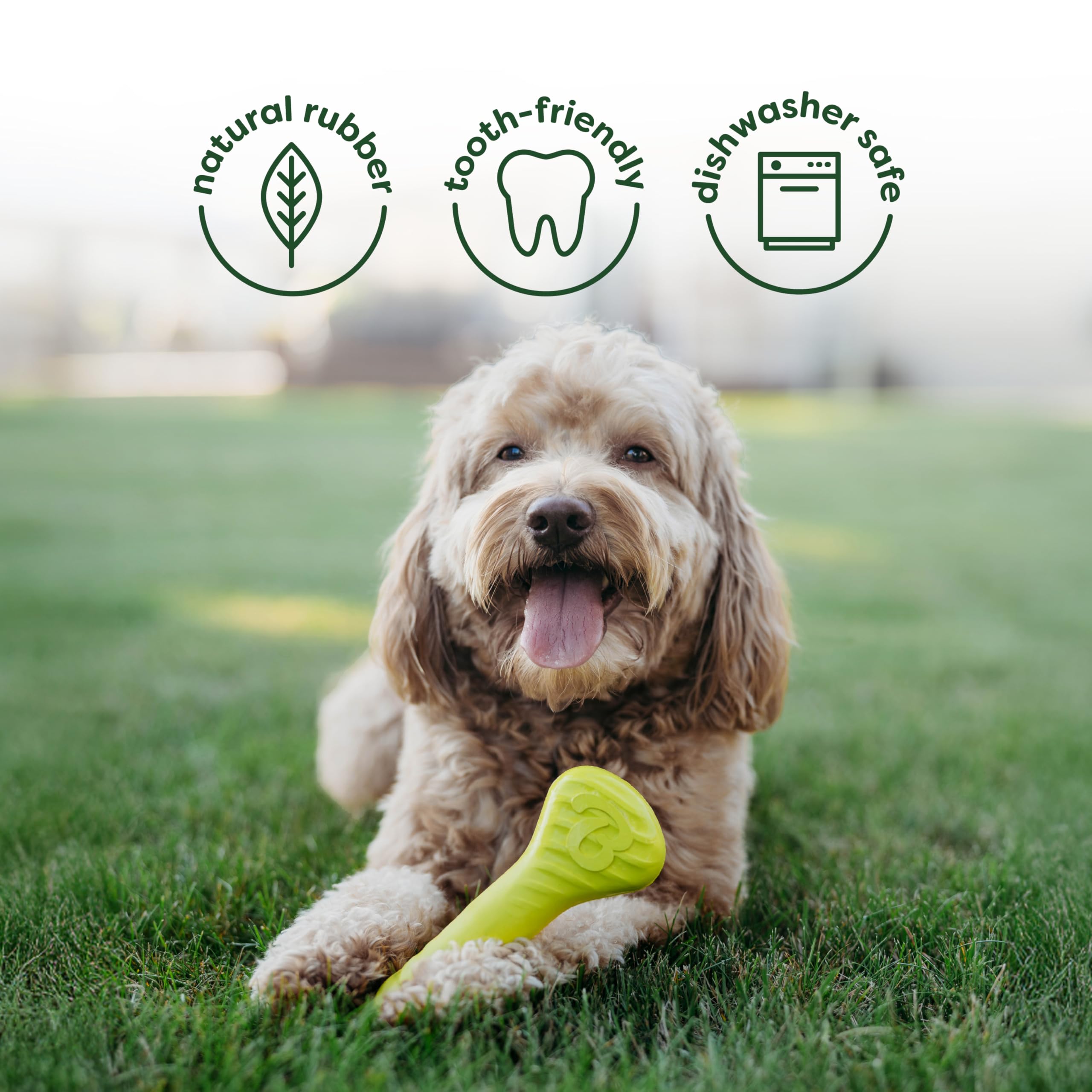 Benebone Fishbone image: Salmon-flavored nylon chew delivering savory aroma and engaging play.