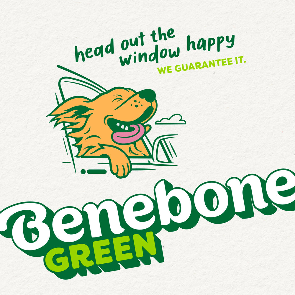 Benebone Green enrichment during play and chew time