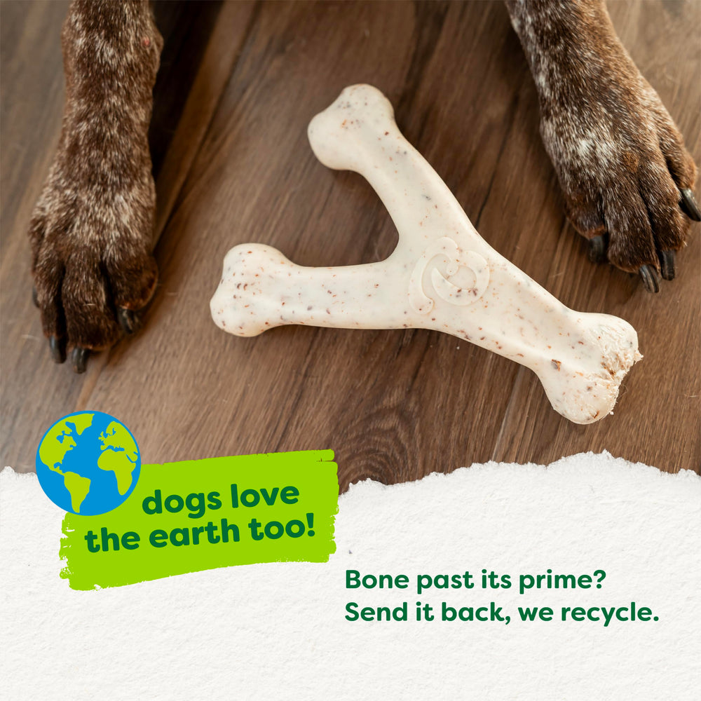 Benebone Green Wishbone made in USA uses safety-focused materials.