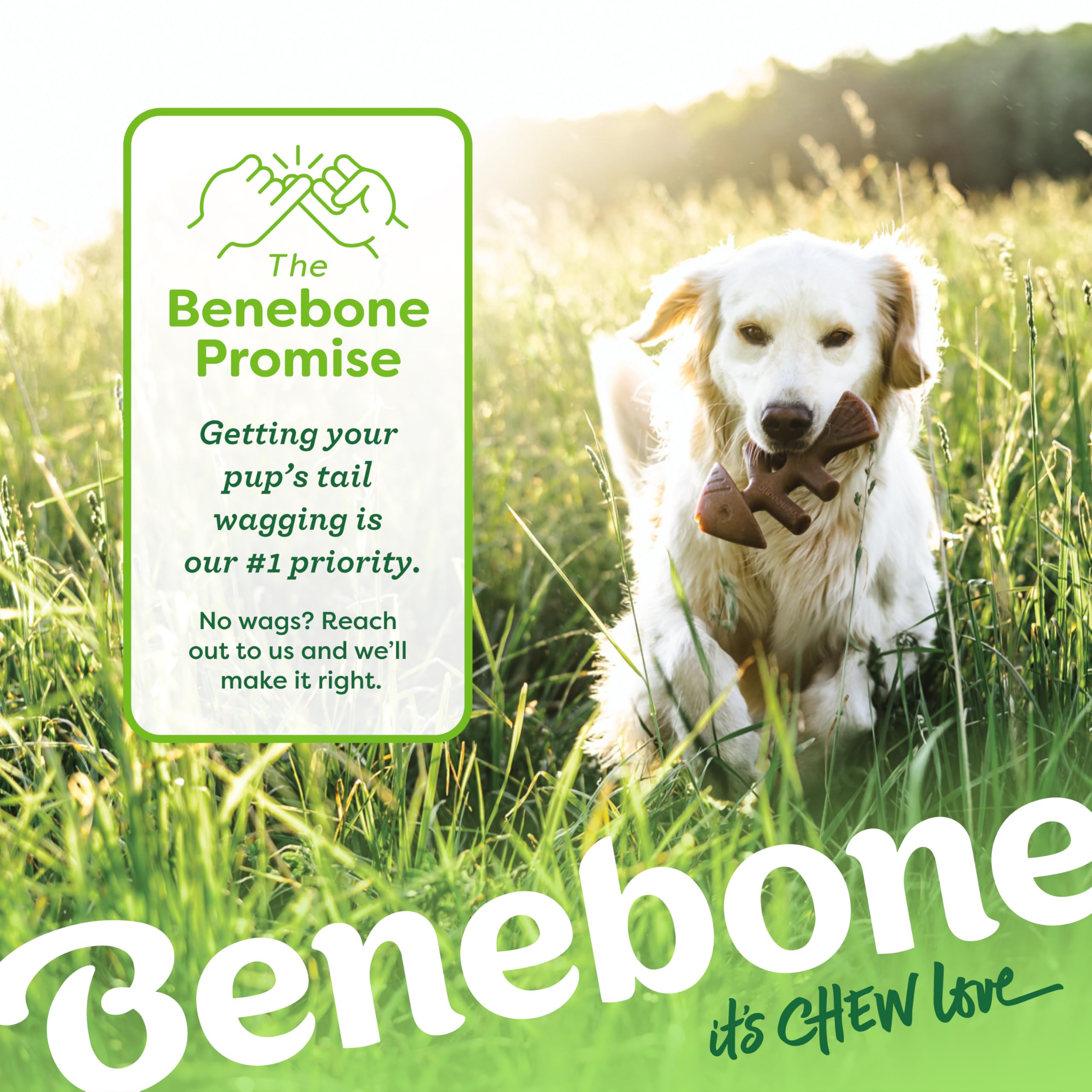 Happiness-guaranteed Benebone with responsive support for questions or issues.