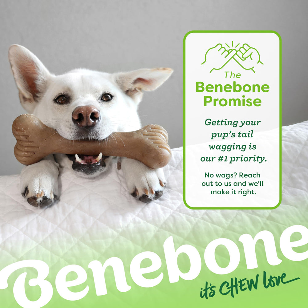 High durability nylon ensures long lasting distraction for heavy chewers during travel