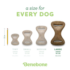 Long-lasting Benebone chew stands up to aggressive chewers and resists breakage.