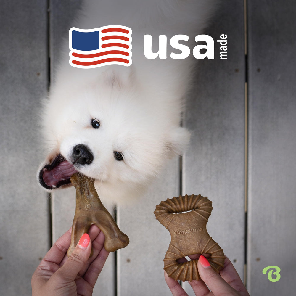 Made in the USA Benebone chew toys crafted from durable nylon for tough chewers.