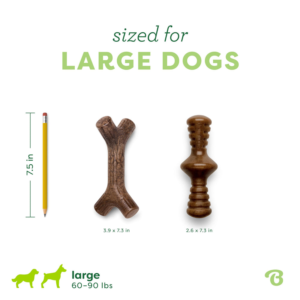 Benebone Maplestick in action, dog holding and chewing