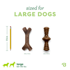 Benebone Maplestick in action, dog holding and chewing
