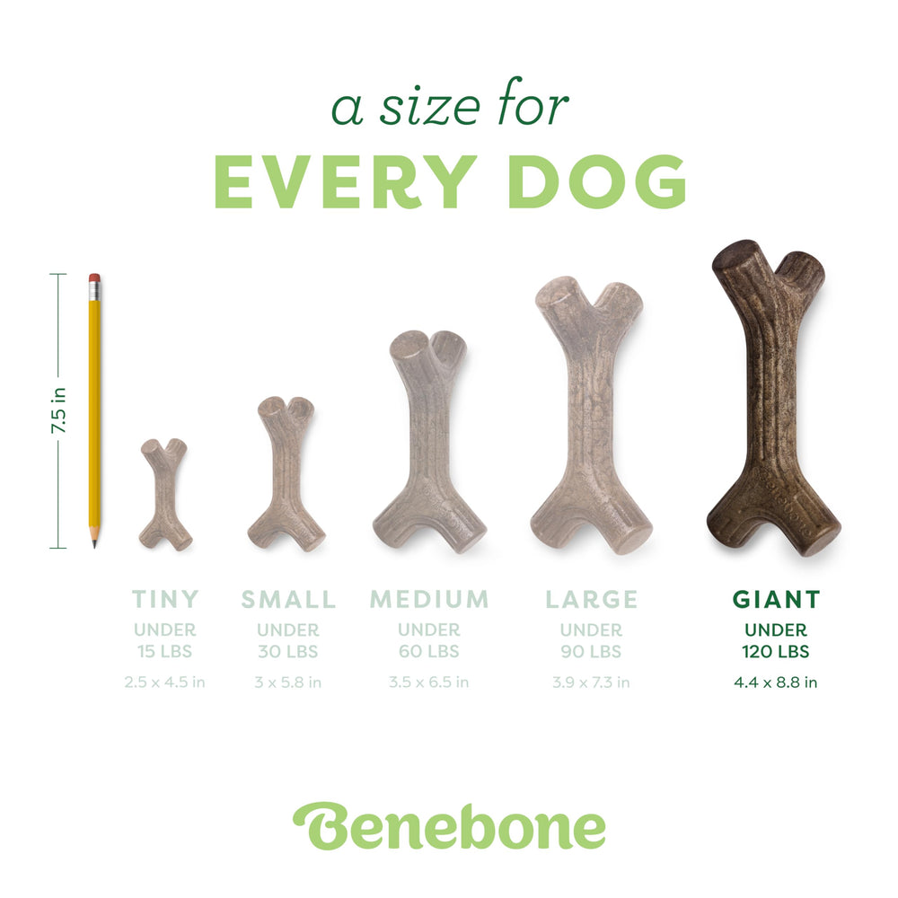 Benebone Maplestick real maple wood flavor close-up