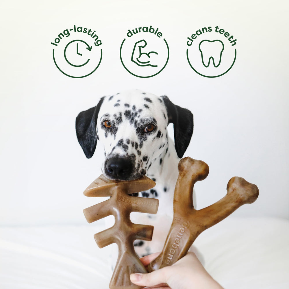 Benebone Nylon-durable chew image: Rugged chews designed for lasting bite sessions.