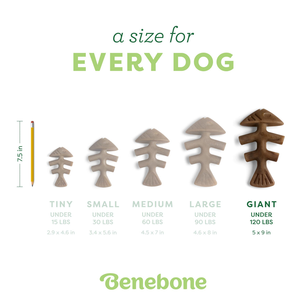 Benebone Fishbone curved paw-friendly shape aids grip for dogs.