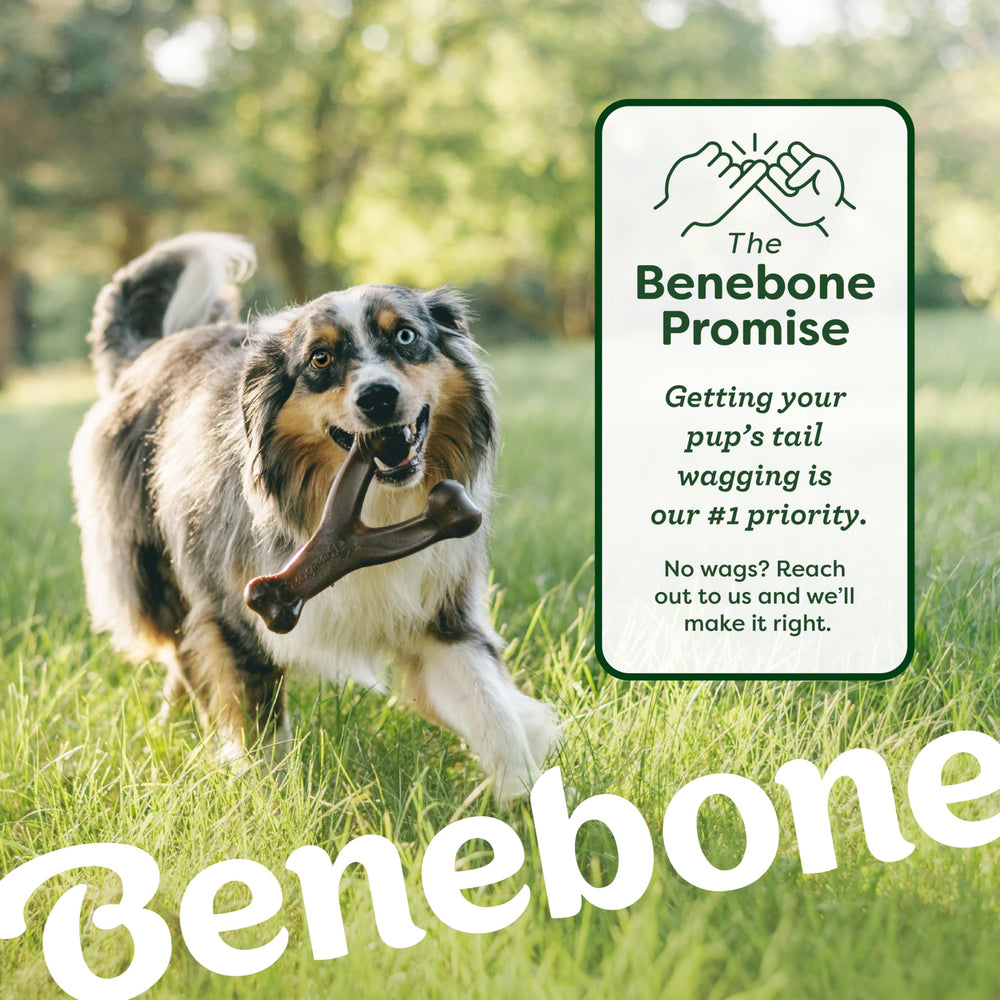 Benebone Paw-grip image: Paw-friendly pickup design helps dogs grab quickly.