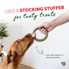 Benebone Peppermint Ring nylon durability shows the chew lasts through tough bites.