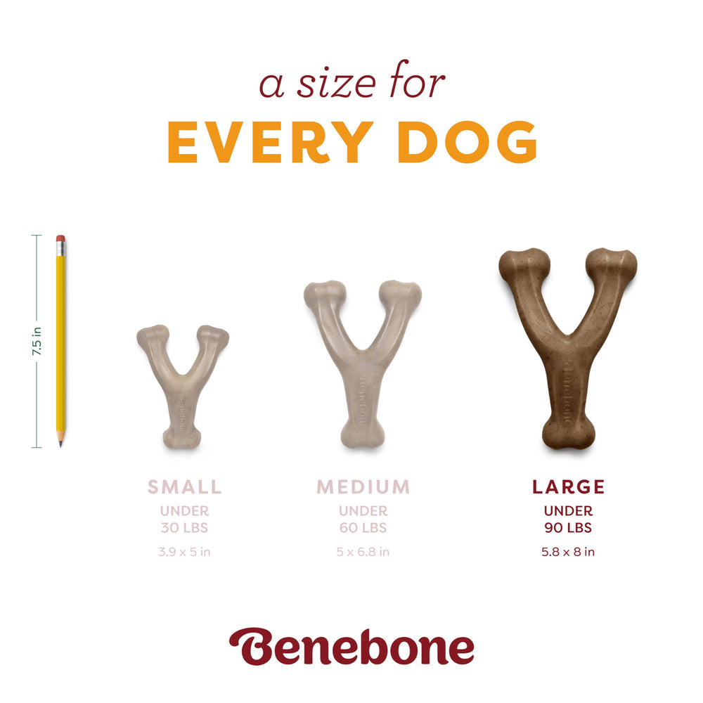 American-made Benebone Pumpkin Spice Wishbone, fall edition packaging showcasing quality.