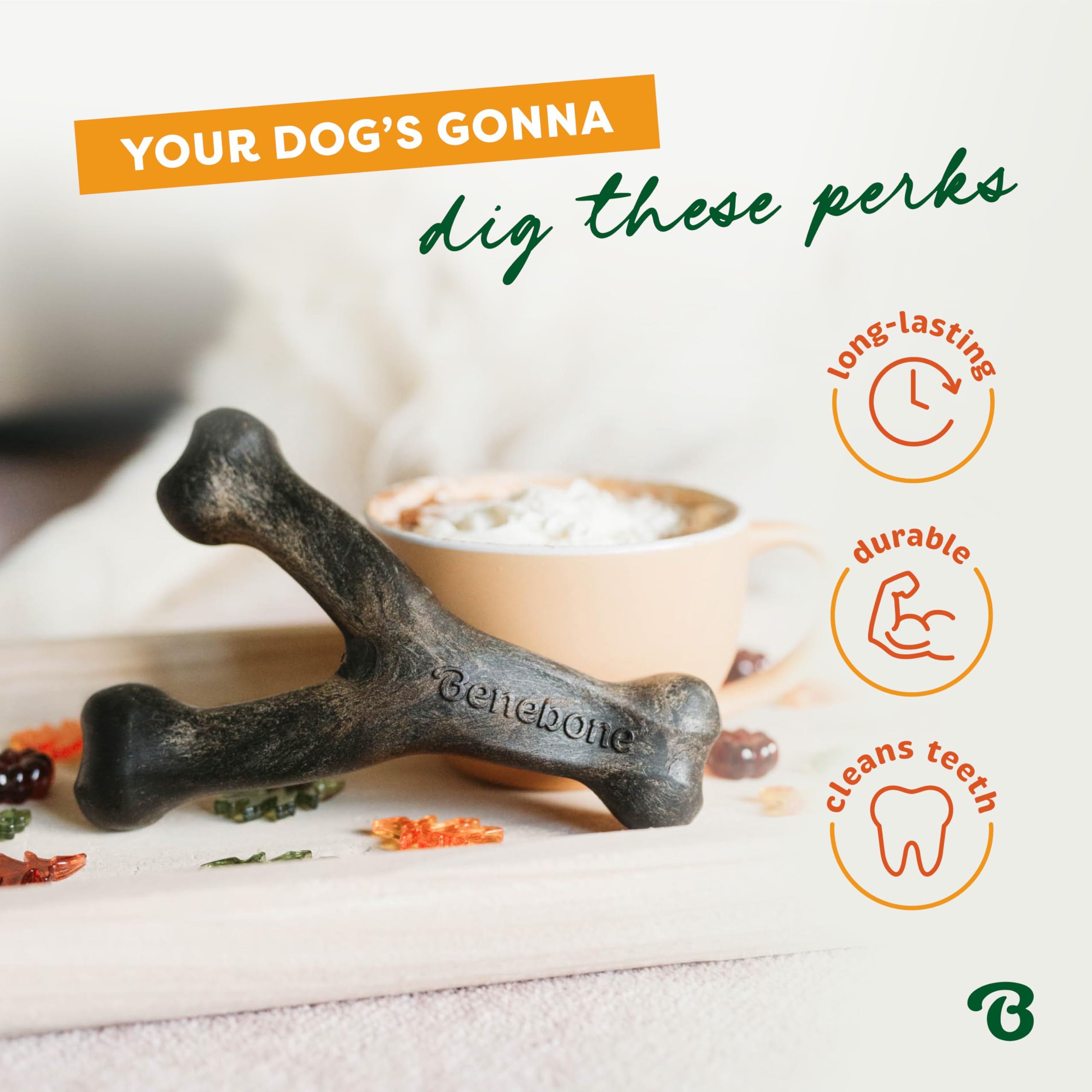 Limited edition pumpkin spice flavor for Benebone Wishbone in fall campaign.