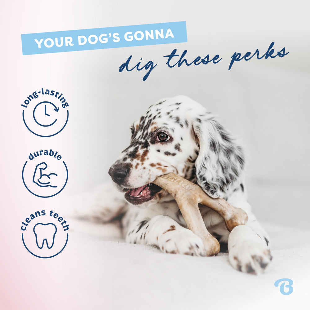 Benebone Durable nylon construction for long-lasting puppy chewing.