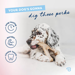 Benebone Durable nylon construction for long-lasting puppy chewing.