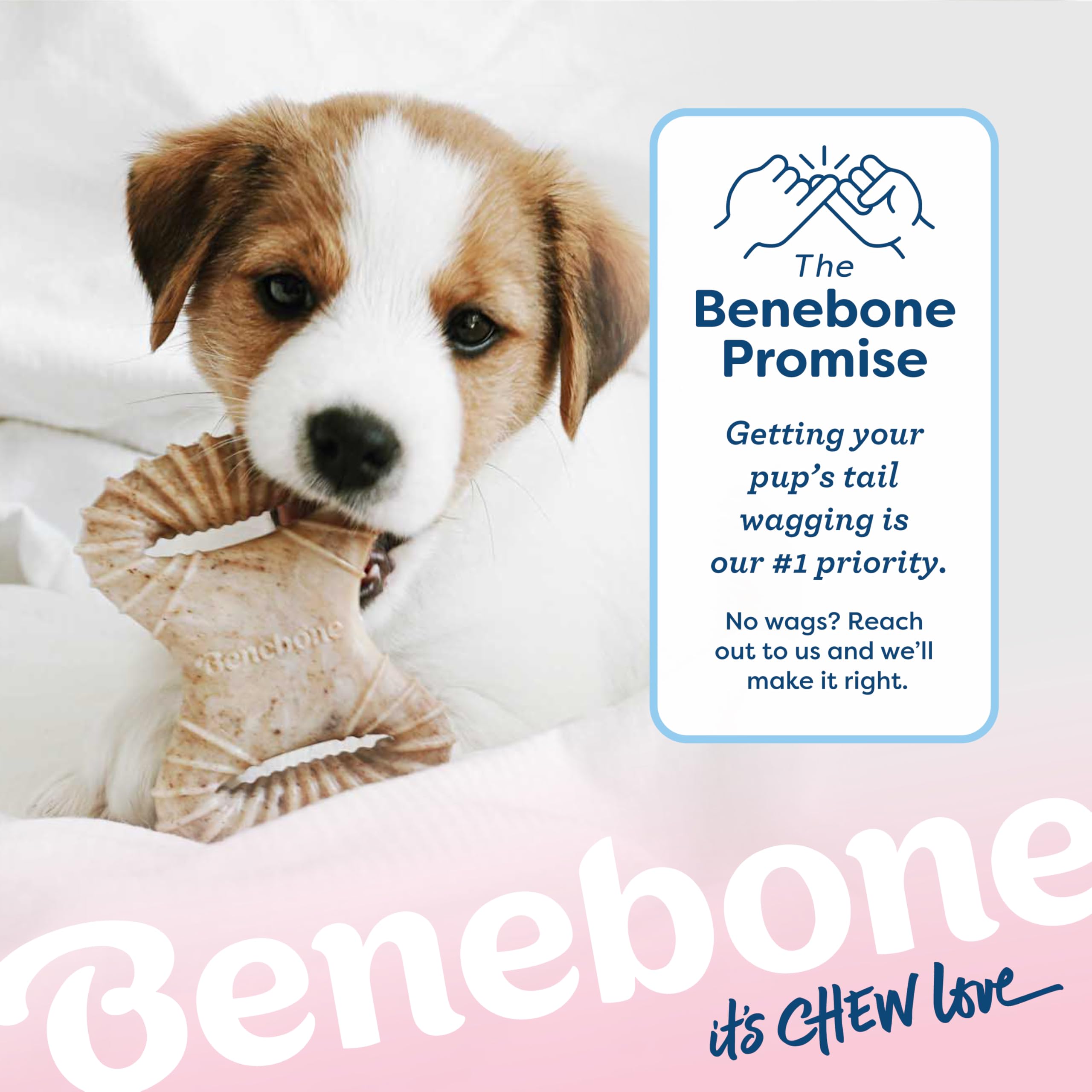 Benebone travel-safe chew ready for alone time or trips.