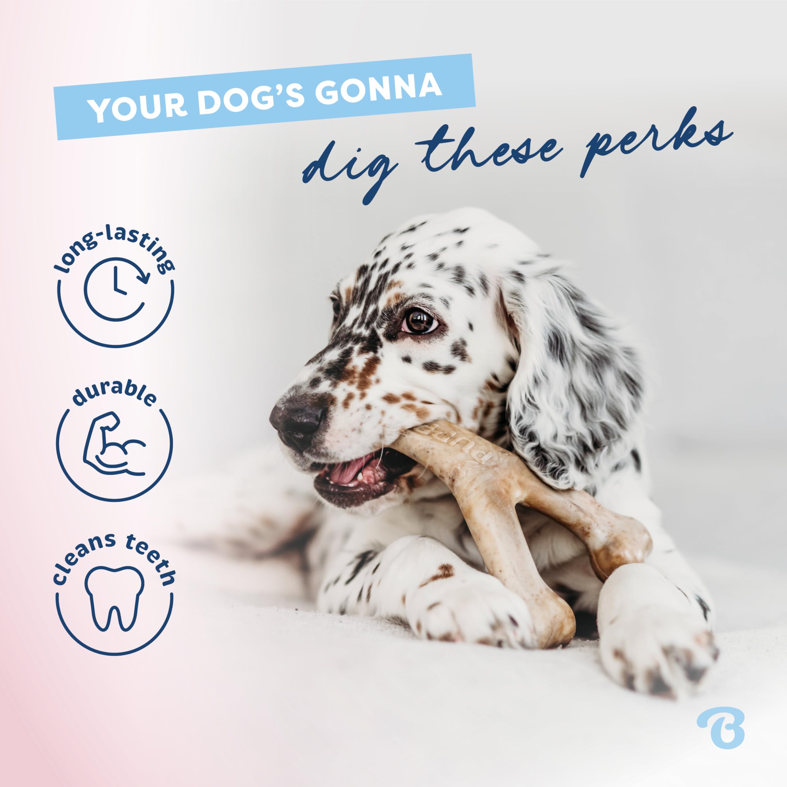 Benebone Puppy 4-Pack puppy chewing action during playtime.