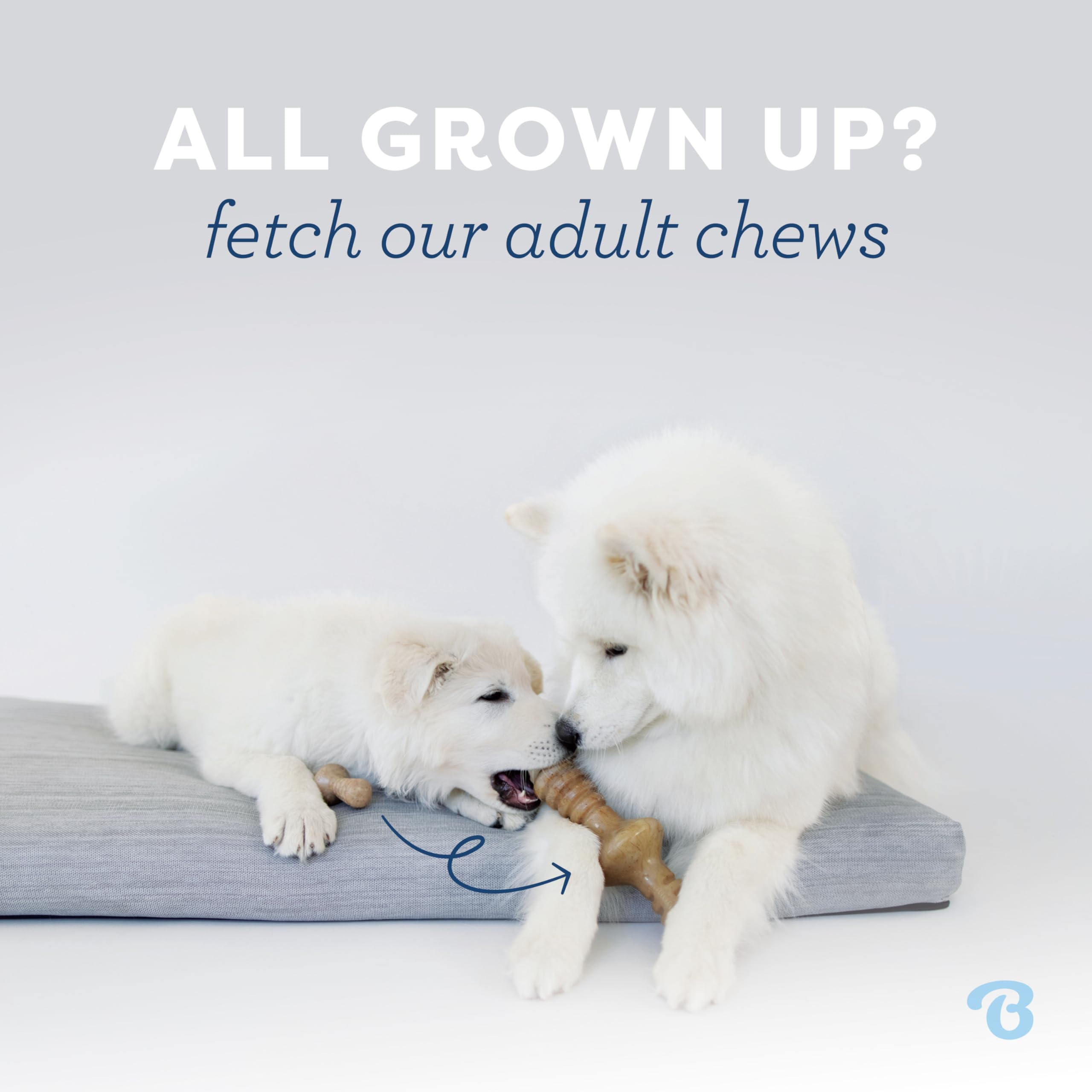 Benebone Puppy 4-Pack safety-first design highlights responsible chewing.