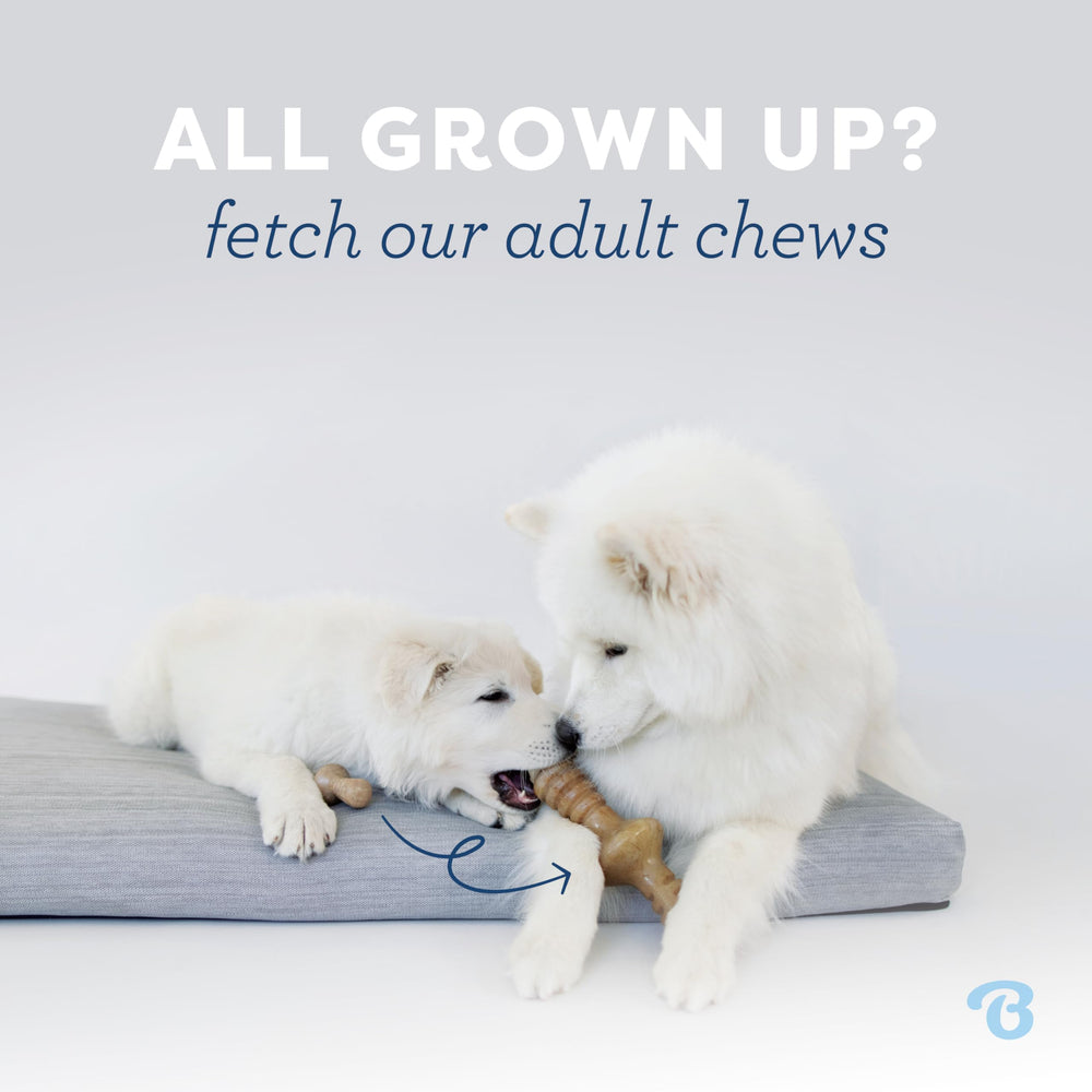 Benebone Puppy 4-Pack safety-first design highlights responsible chewing.