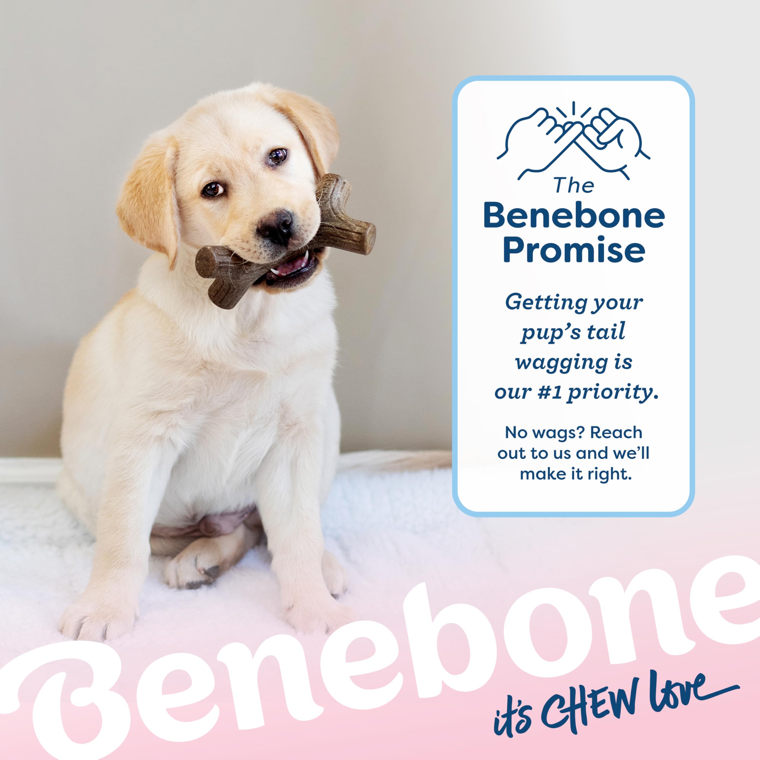 Benebone Puppy 4-Pack travel-friendly chew in crate setup.