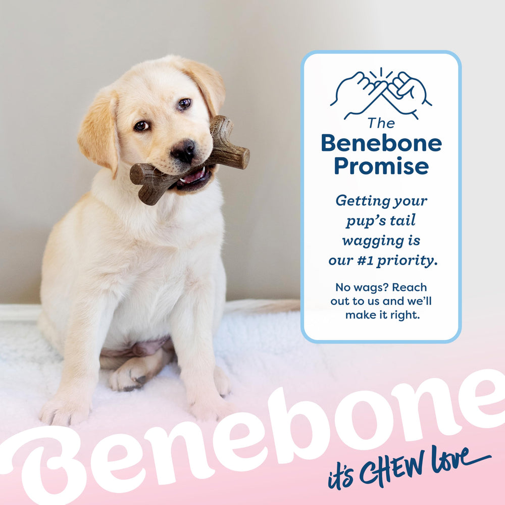 Benebone Puppy 4-Pack travel-friendly chew in crate setup.