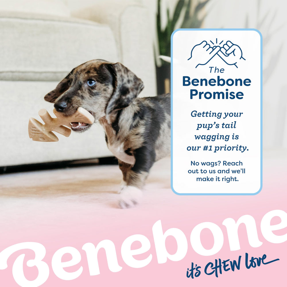 Benebone Puppy Fishbone includes Happiness Guarantee and friendly support.