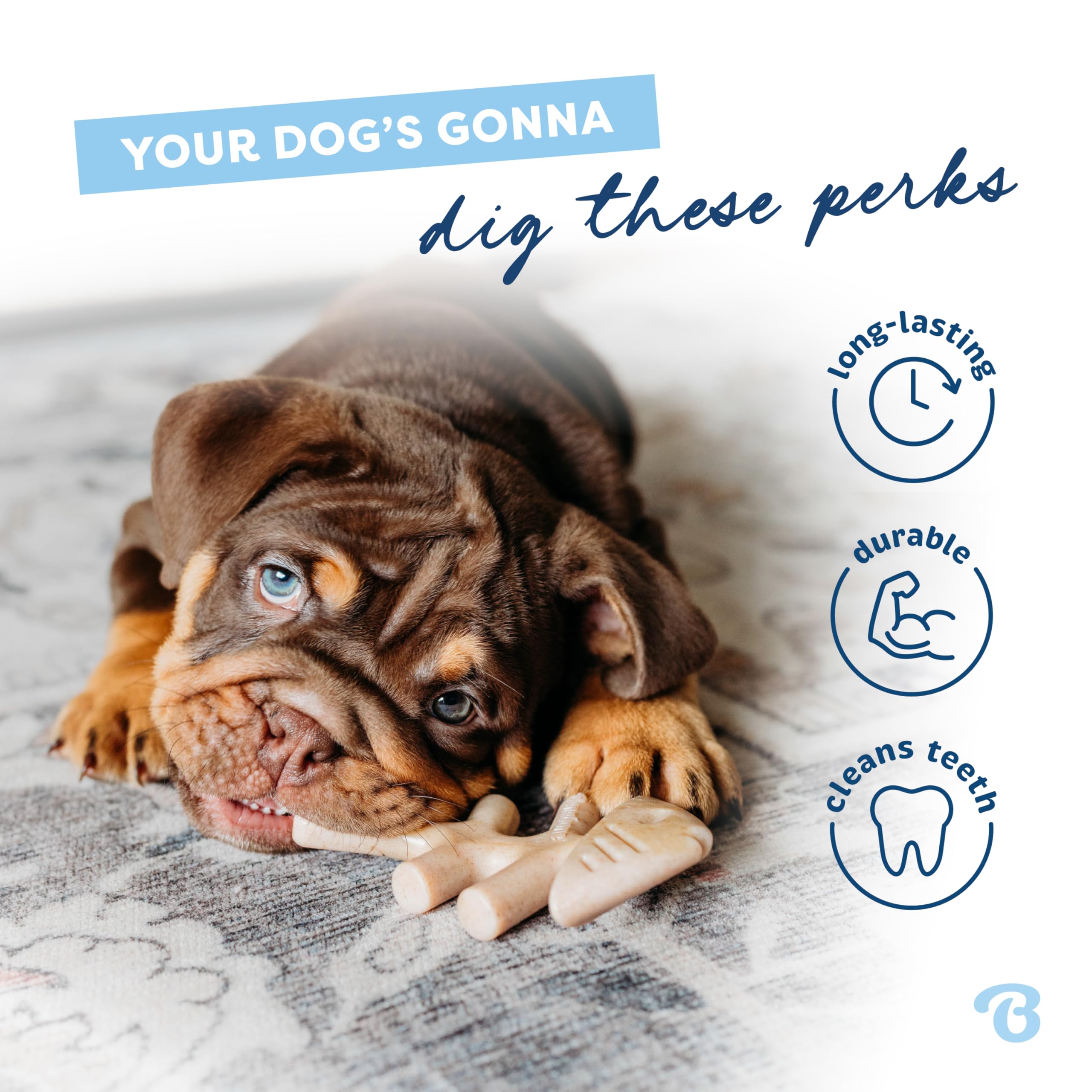 Benebone Puppy Fishbone features paw-friendly curve for small pups.