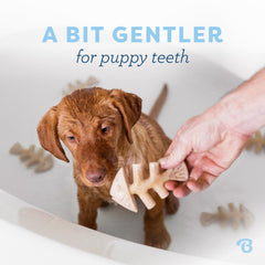 Benebone Puppy Fishbone offers real jack salmon flavor to entice chewing.