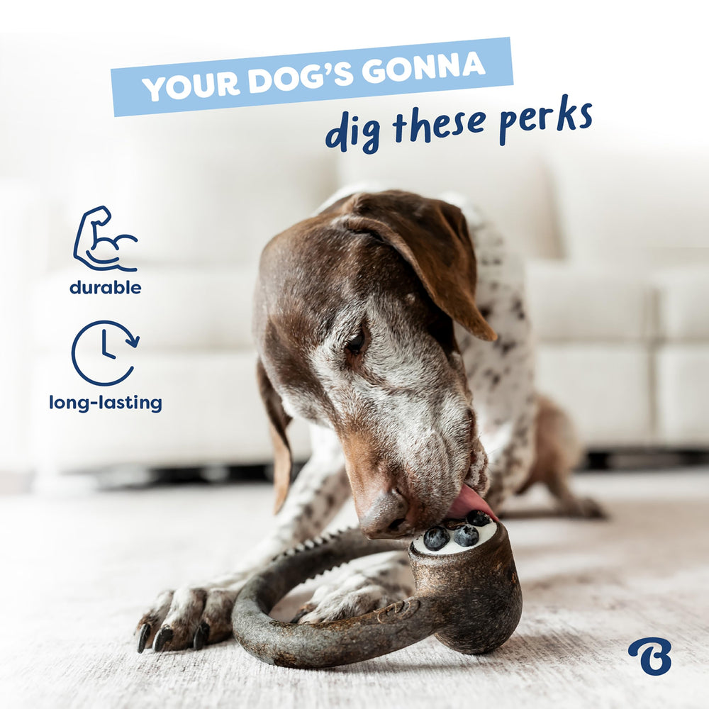 Benebone Ring Blueberry easy-grip design for safer pickup and chewing