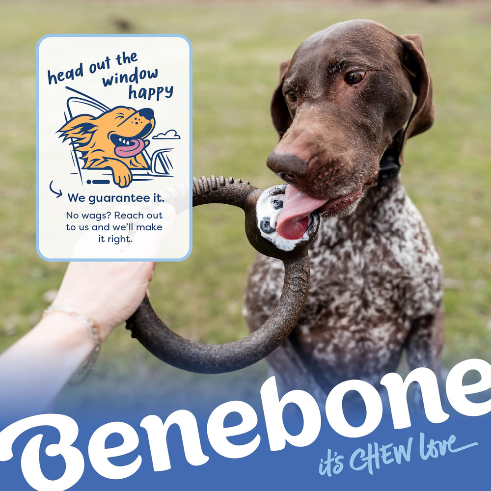 Benebone Ring Blueberry limited edition packaging appeals as a gift