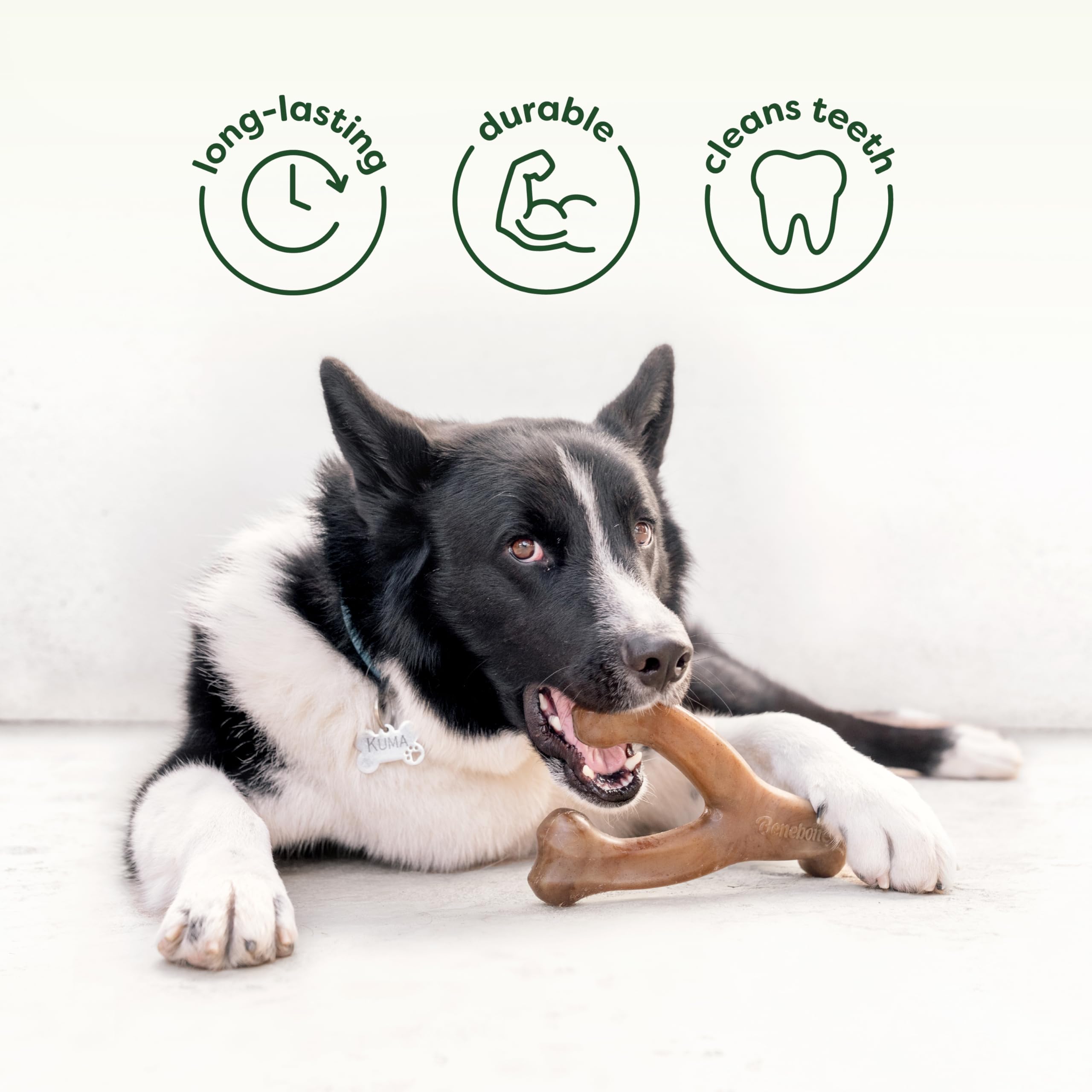 Benebone Rubber Bone Medium durable chew surface for long-lasting play