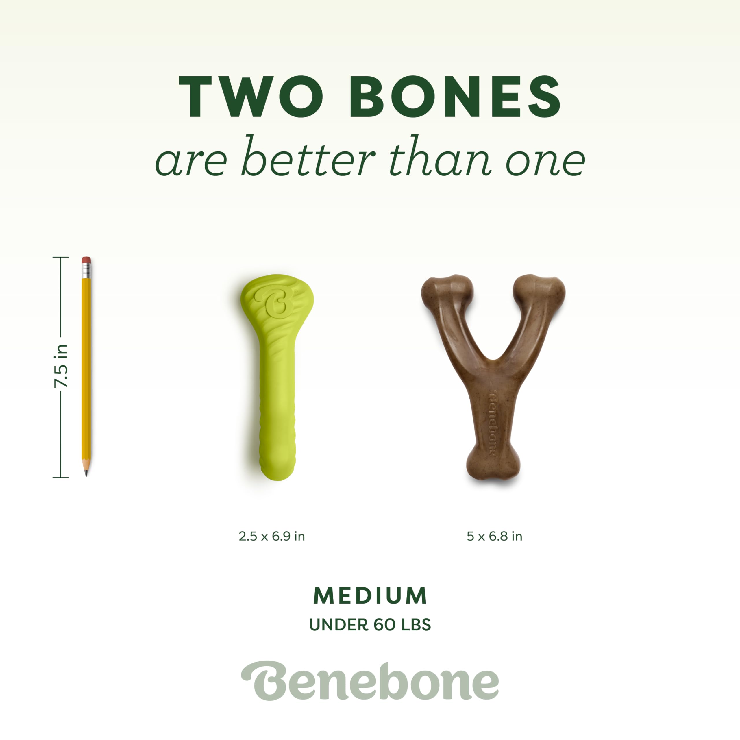 Benebone Rubber Bone Medium ready for fetch and bounce during games