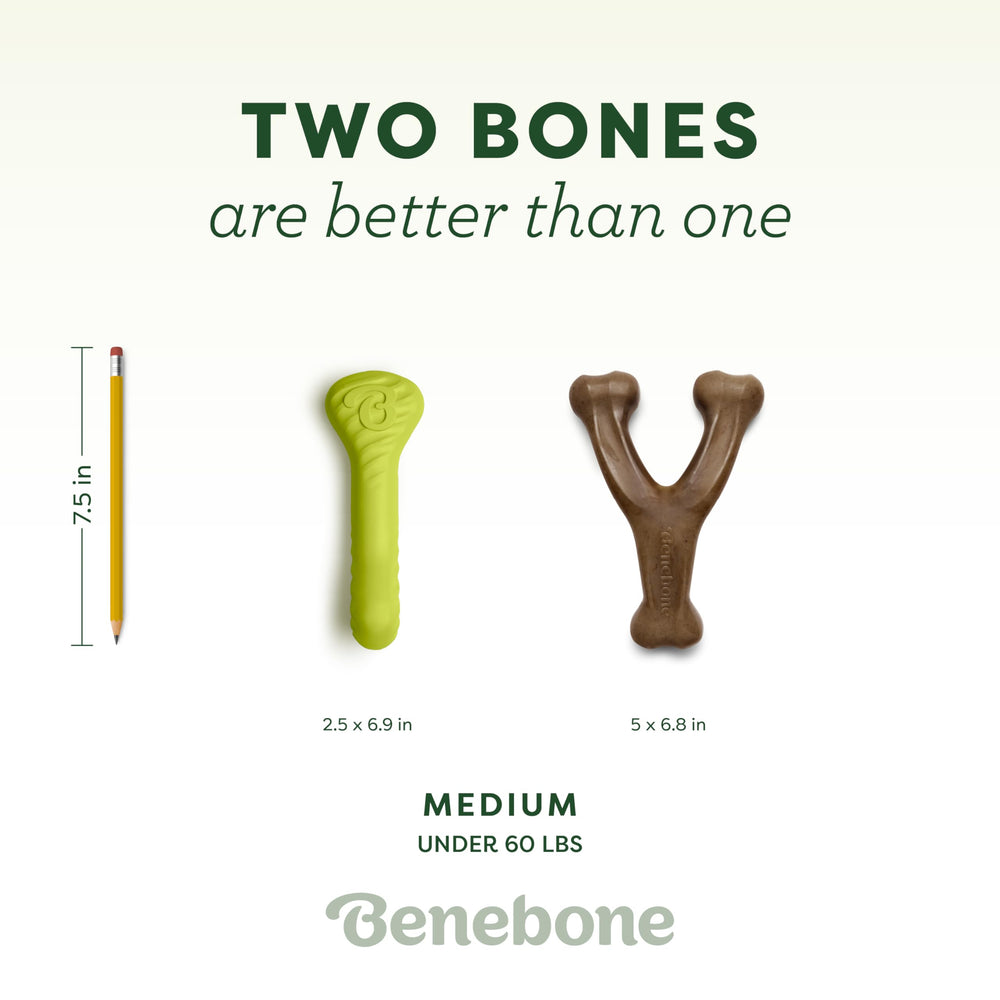 Benebone Rubber Bone Medium ready for fetch and bounce during games
