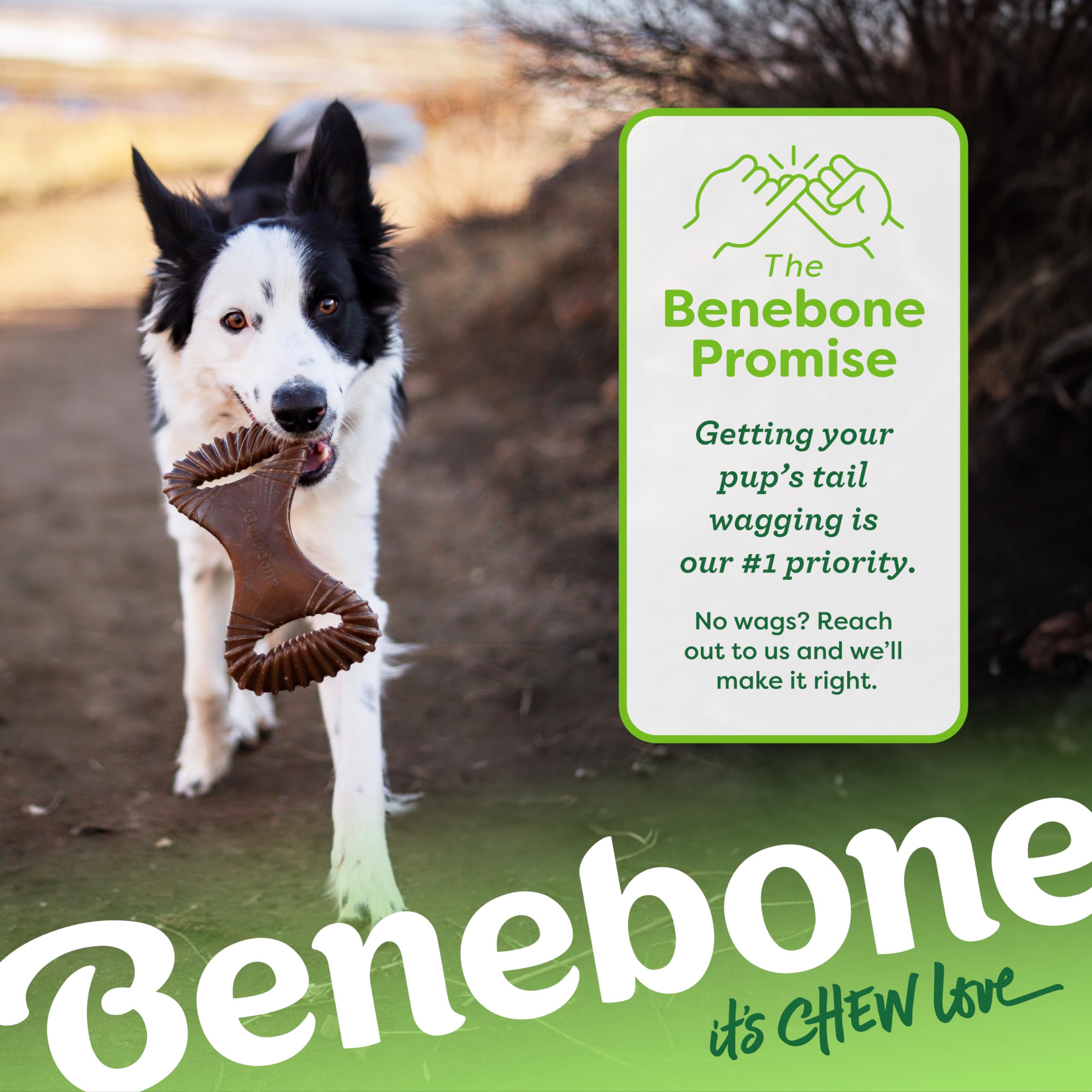 Benebone safety guidelines for chew use and wear monitoring.