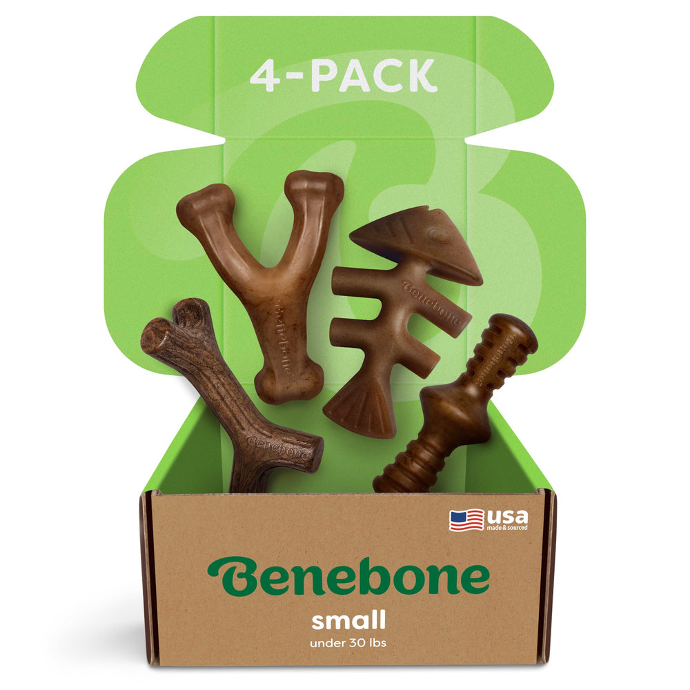 Benebone Small 4-Pack dog toys in box offer durable chewing and variety