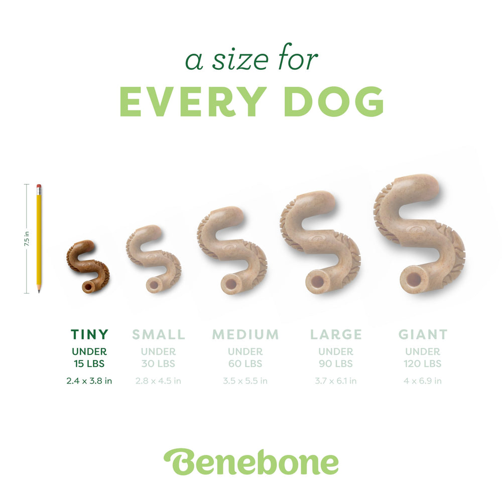 Curved paw-friendly design of Benebone Tiny Tripe Bone Chew.