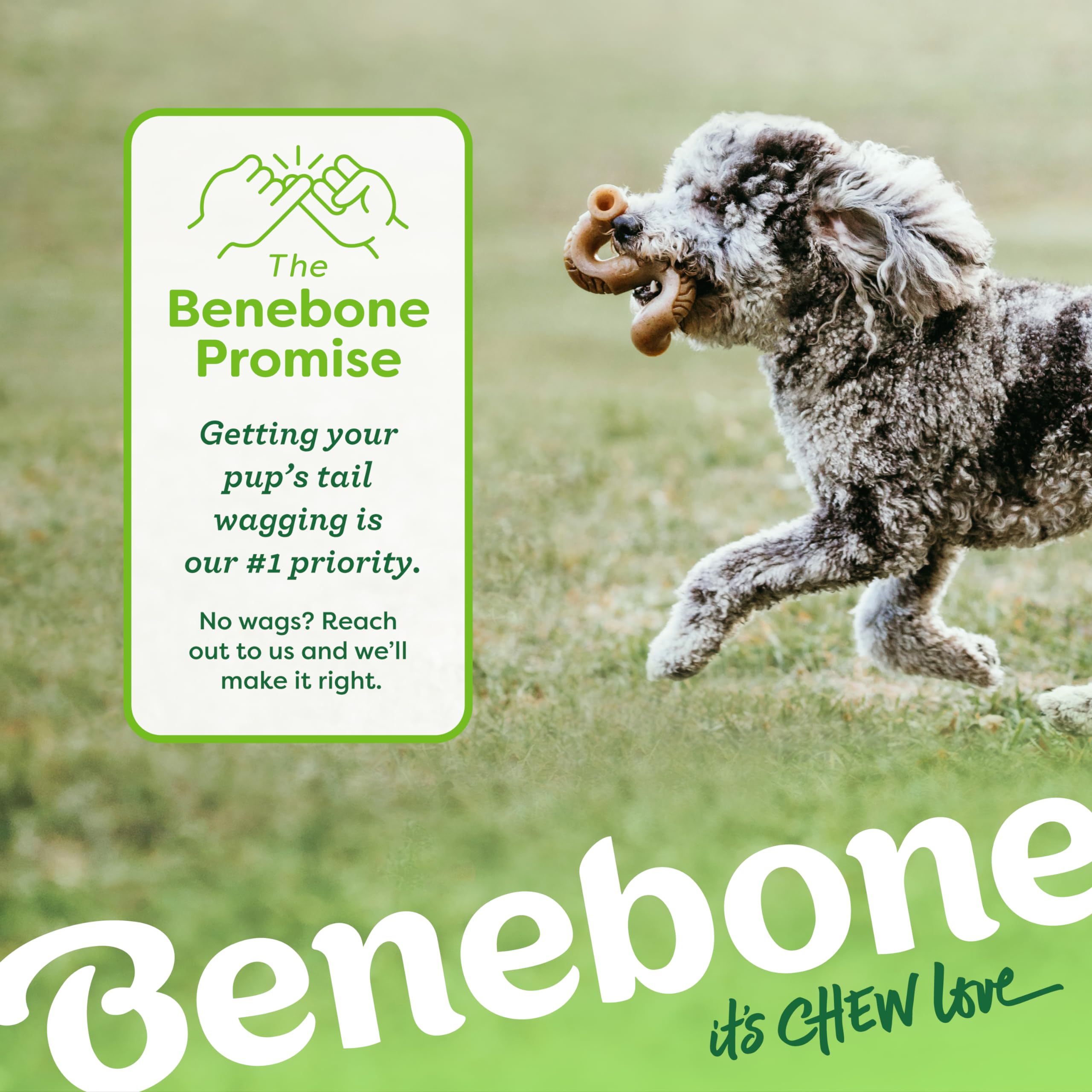 USA-made quality for trusted chews from Benebone Tiny Tripe Bone Chew.