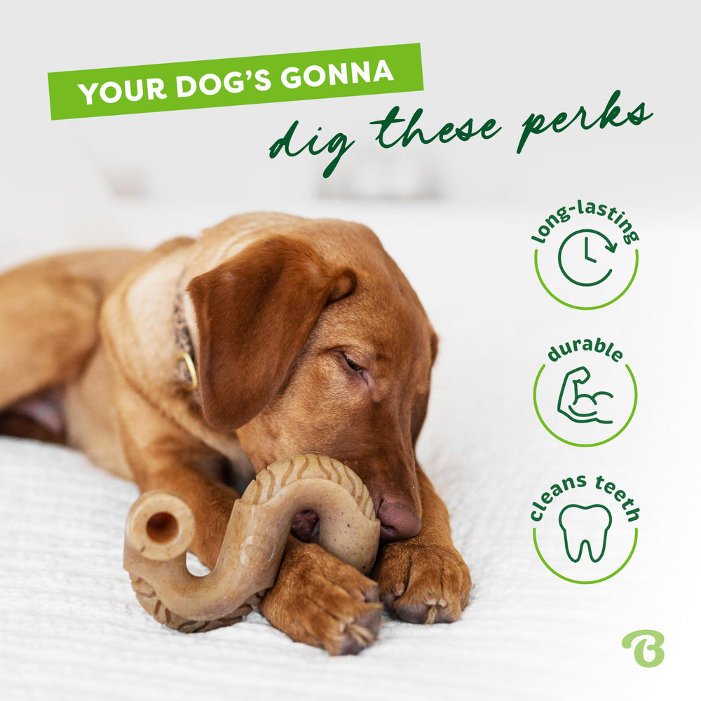 Benebone Tripe Bone—paw-friendly curved shape for easy grip.