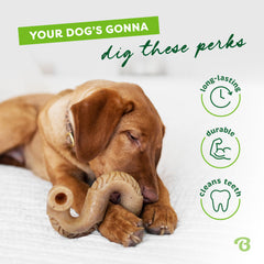Benebone Tripe Bone—paw-friendly curved shape for easy grip.