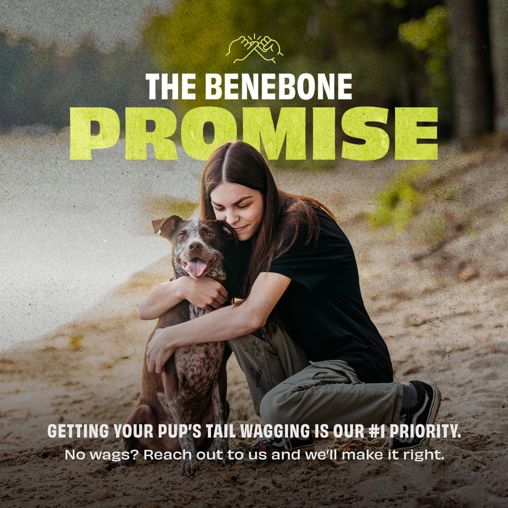 Benebone tug toy enriches dogs with active play and exercise.