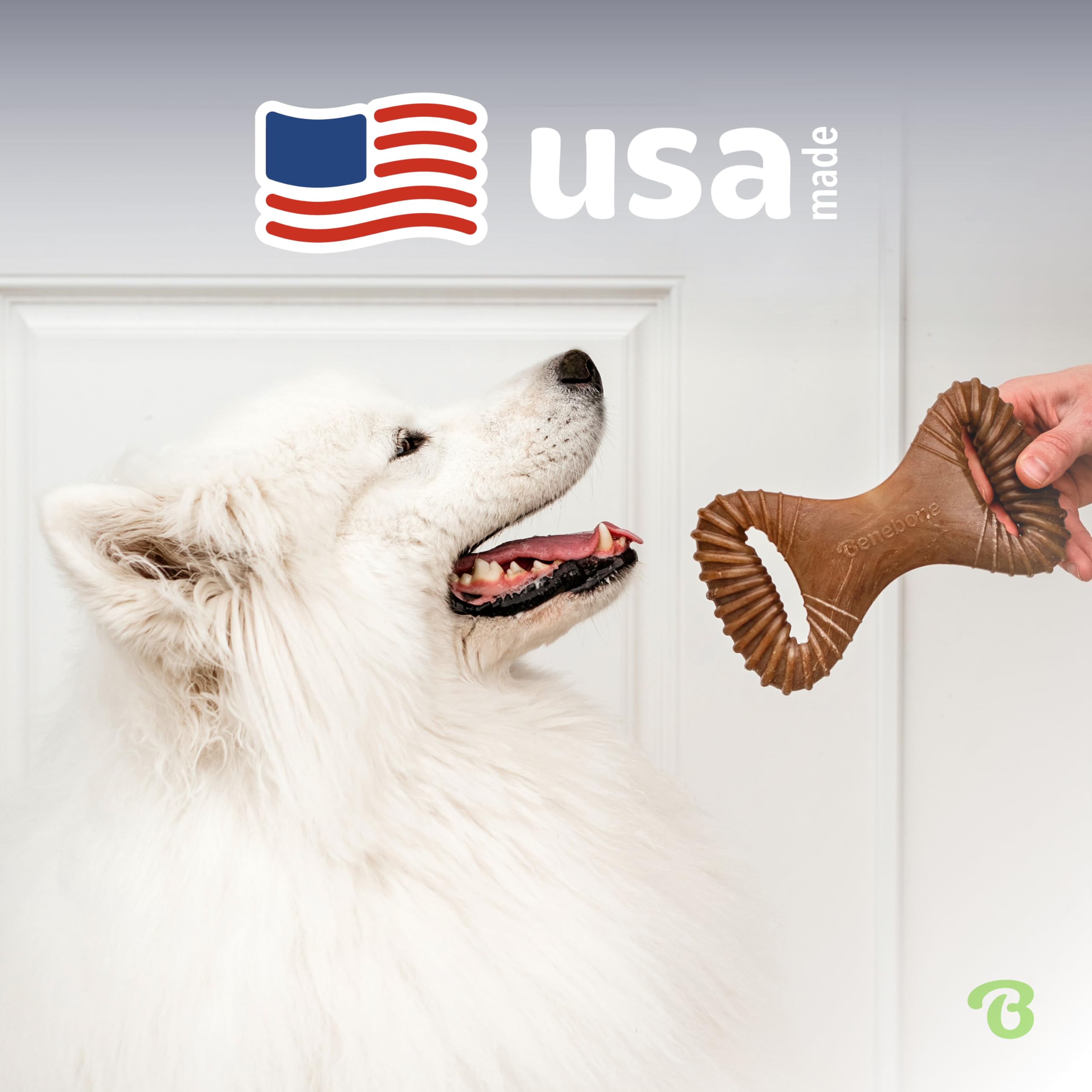 Benebone tug-toy in action during interactive play with your dog.
