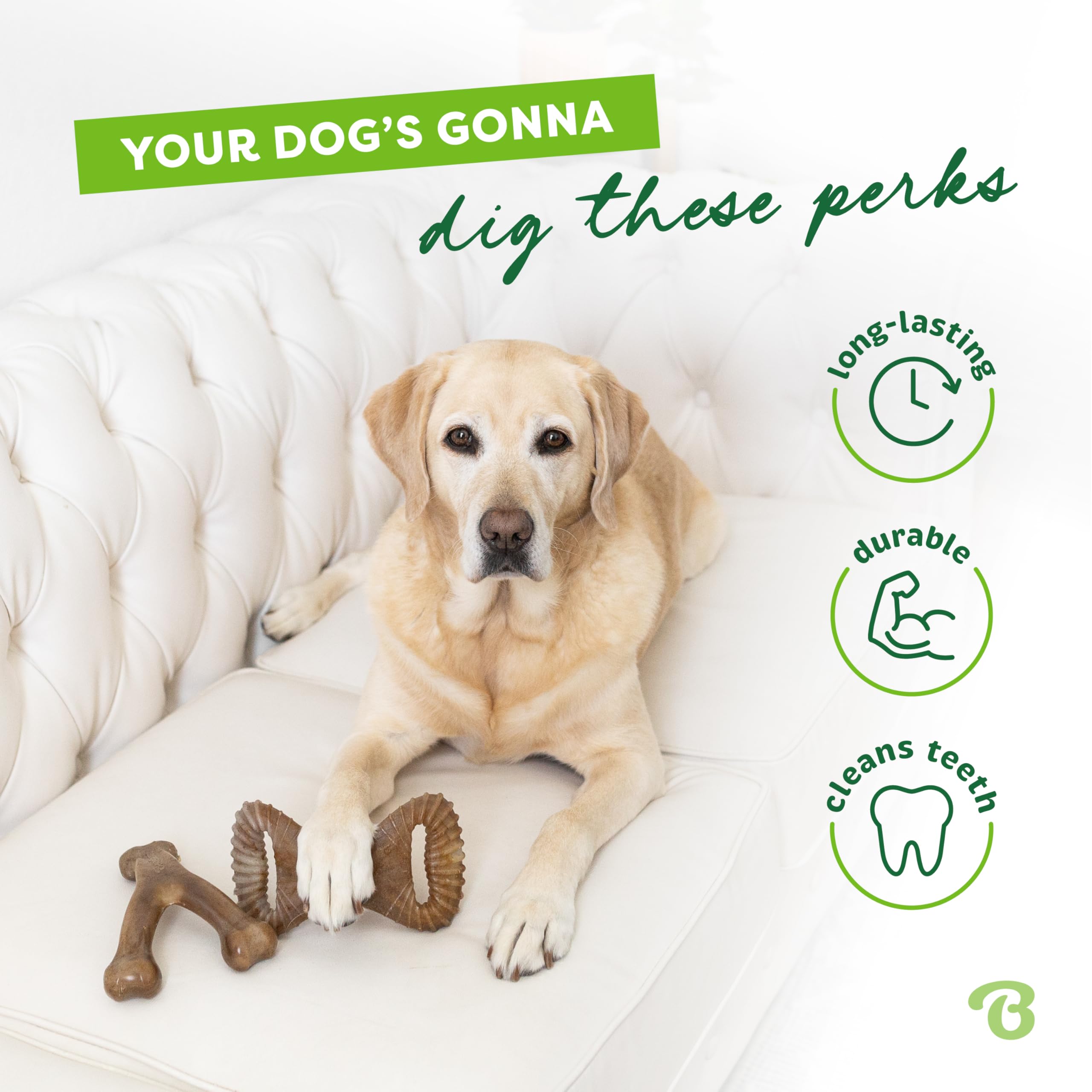 Two-pack design doubles chewing fun and durability